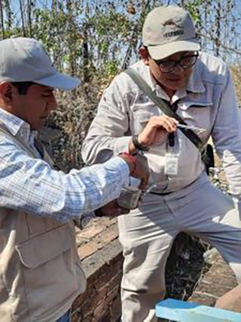 Realiza SSG acciones preventivas permanentes contra picaduras de alacrán