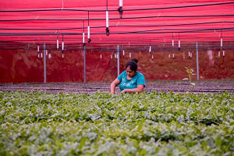 SAGADEGRO y DIF Guerrero implementarán proyectos productivos y ecológicos