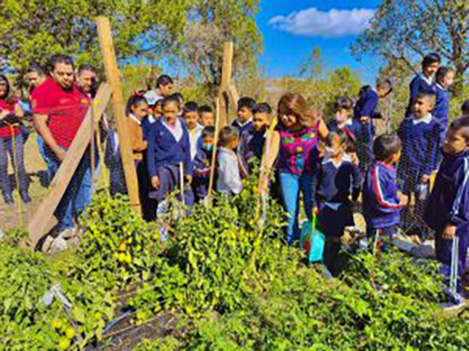 Se amplía el programa “Alimentación para el bienestar de niñas y niños”, para atender más escuelas en Guerrero