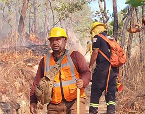 Brigadistas de la SGIRPCGRO trabajan en la sofocación de un incendio forestal a un costado de la autopista del sol