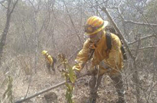 Refuerza Guerrero acciones para atender incendios forestales