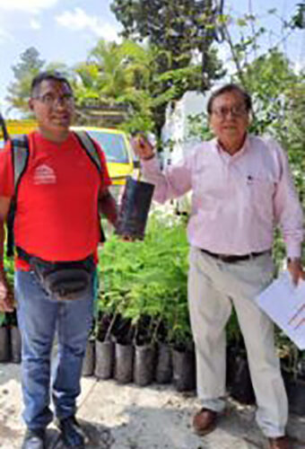 El gobierno de Guerrero inicia donación de 300 mil árboles