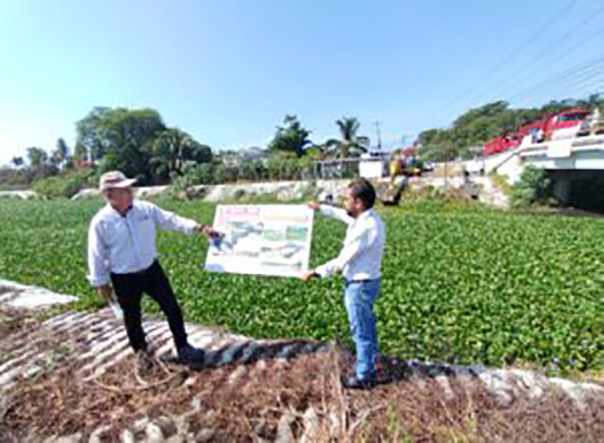 Gobierno estatal realiza desazolve de lirio acuático en el arroyo Colacho en Acapulco para prevenir inundaciones