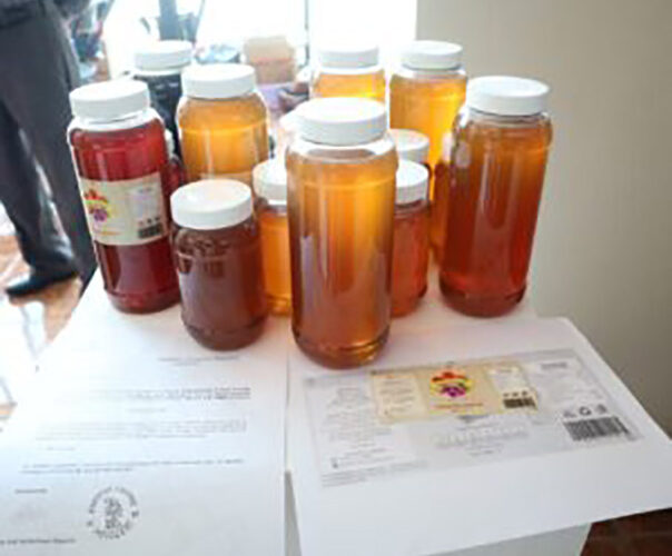 La SEFODECO invita a diseñadores gráficos a participar en la convocatoria para crear el logotipo “Hecho en Guerrero”