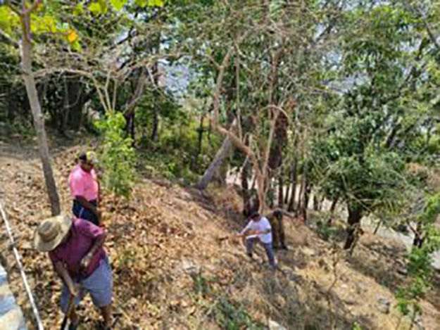 Se realiza limpieza en el Cerro del Mogote en el Parque Papagayo