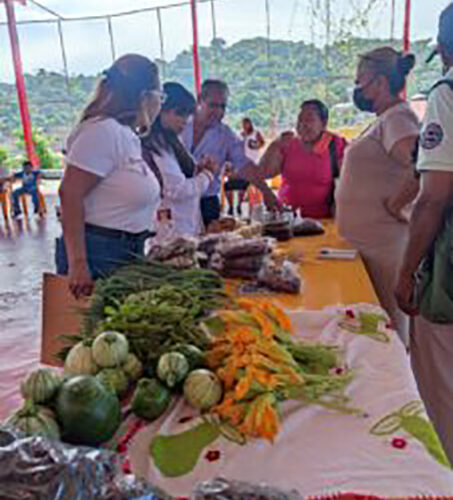 Capacitan a mujeres ejidatarias y comuneras de la comunidad el Kilómetro 30, de Acapulco: SEMUJER
