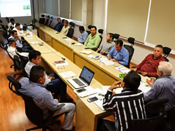 En Guerrero fortalecemos al sector citrícola con acciones y programas: Sagadegro