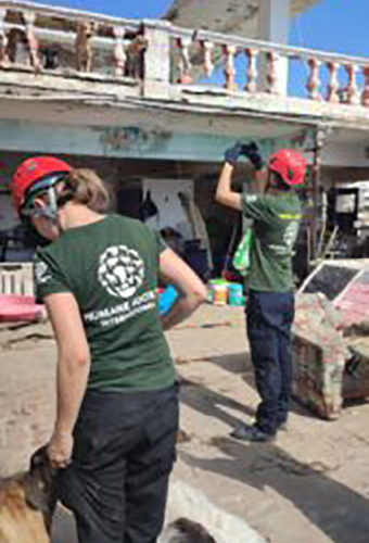 Continúan los recorridos para elaborar un diagnóstico en Acapulco de los refugios caninos y felinos