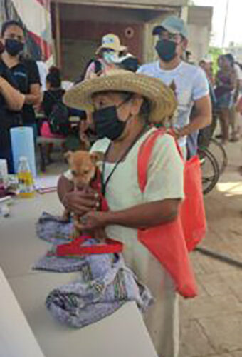 Semaren y Humane Society International, realizaron la primera jornada de atención veterinaria en el refugio temporal de Ciudad Renacimiento