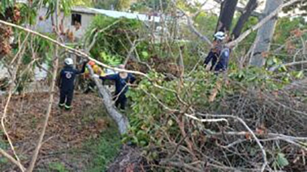 Protección Civil Guerrero atendió a la localidad de Texca en la zona rural