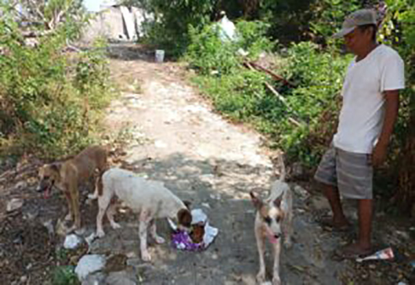 Continúan la entrega de alimento donado por SEMAREN y UAGro para perros y gatos