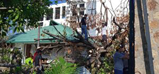 Personal de Cultura Guerrero y del Centro Cultural Acapulco continúan con labores de limpieza