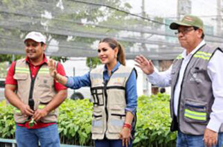 Alista Evelyn Salgado campaña de reforestación para Acapulco y Coyuca de Benítez