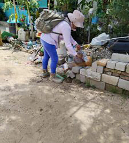 Refuerza la SSG acciones de control larvario contra el dengue en Guerrero