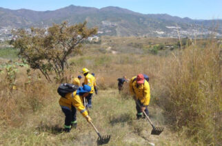 Continúa SGIRPCGRO realizando acciones preventivas en zonas propensas a incendios forestales y suburbanos en Chilpancingo