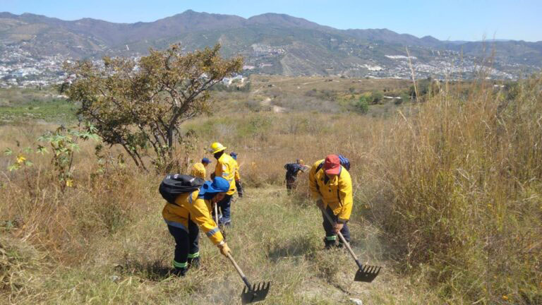 Continúa SGIRPCGRO realizando acciones preventivas en zonas propensas a incendios forestales y suburbanos en Chilpancingo