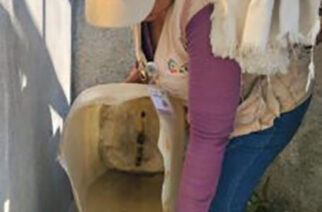 Continúan las acciones de combate al dengue de manera permanente en Guerrero: SSG