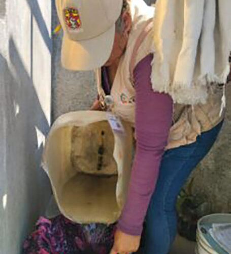 Continúan las acciones de combate al dengue de manera permanente en Guerrero: SSG