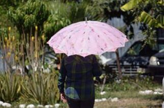 LA SGIRPCGRO alerta por altas temperaturas en los próximos días en gran parte del estado
