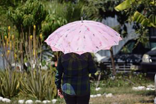 LA SGIRPCGRO alerta por altas temperaturas en los próximos días en gran parte del estado