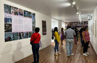 La Secretaría de Cultura aperturó la Exposición Artesanal Guerrerense Manos Creadoras 2023