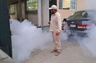 Registra Guerrero disminución de casos de dengue: SSG