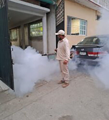 Registra Guerrero disminución de casos de dengue: SSG