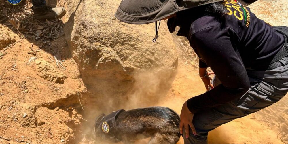 FGE Guerrero localiza un sitio ilegal de entierro en Acapulco de Juárez.