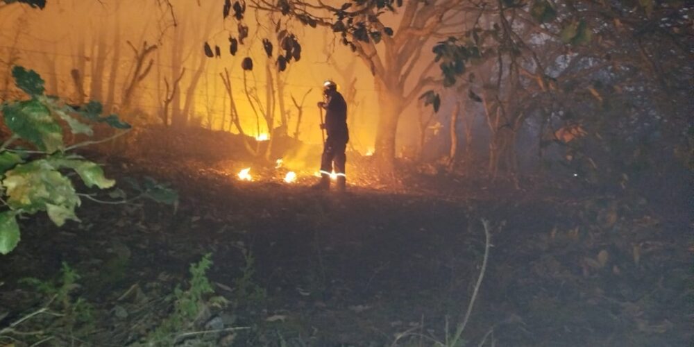 Se combaten seis incendios forestales en Guerrero: SGIRPCGRO