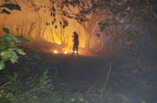 Se combaten seis incendios forestales en Guerrero: SGIRPCGRO