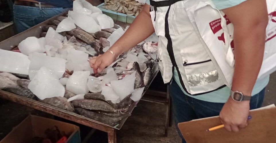 Realizan SSG y COPRISEG, brigadas informativas en mercados con atención en pescados y mariscos