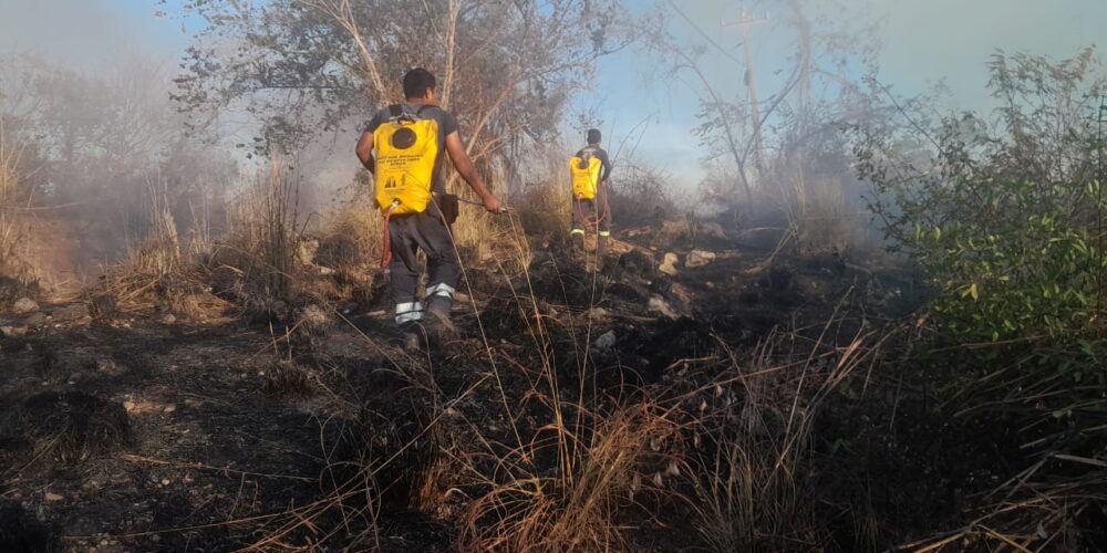 Gobierno del estado combate incendio en la parte alta de la colonia Jardín Palmas de Acapulco