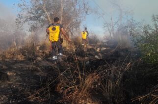 Gobierno del estado combate incendio en la parte alta de la colonia Jardín Palmas de Acapulco