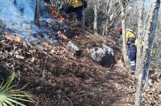 Personal de los tres niveles de gobierno trabajan en el combate de incendios forestales activos en Guerrero