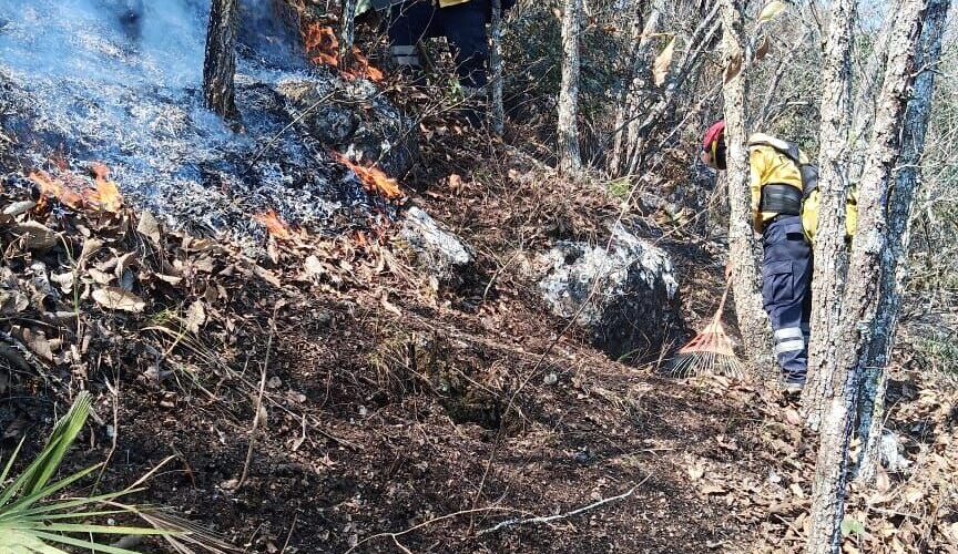 Personal de los tres niveles de gobierno trabajan en el combate de incendios forestales activos en Guerrero