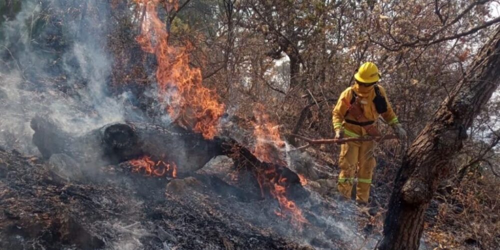 CINCO INCENDIOS FORESTALES SE HAN REGISTRADO CERCA DE CHILPANCINGO