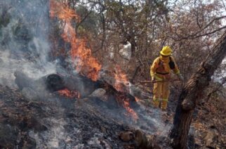 CINCO INCENDIOS FORESTALES SE HAN REGISTRADO CERCA DE CHILPANCINGO