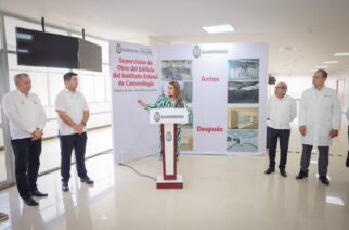 Guerrero ejemplo para transformar el sistema de Salud: Evelyn Salgado