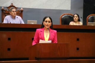 Propone Citlali Calixto La Ley de Consultas con Discapacidad del Estado de Guerrero