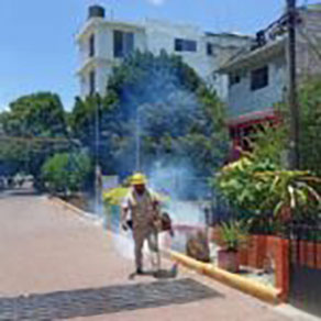 Controlados casos de dengue en Región Centro: SSG