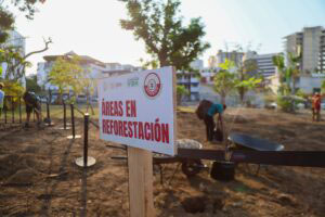 Encabeza Evelyn Salgado el arranque de la campaña Reforestando Guerrero 2024 en el Parque Papagayo