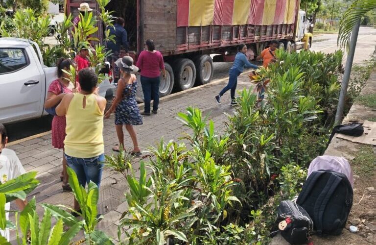 Dona el gobierno de la CDMX, 2 mil plantas para contribuir a la reforestación del puerto de Acapulco
