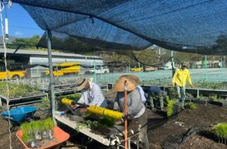 Entrega la SEMAREN 19 mil plantas de diferentes especies a municipios, asociaciones y dependencias