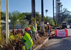 Gobierno de Guerrero moderniza Chilpancingo con el programa de mejoramiento de áreas verdes