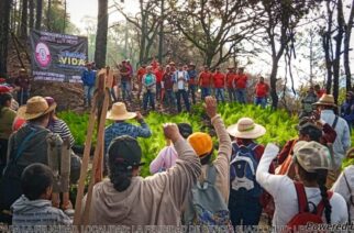 Llega la Campaña Reforestando Guerrero a Acapulco, Chilpancingo y Teloloapan