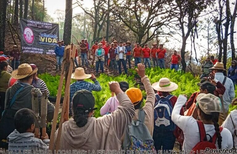 Llega la Campaña Reforestando Guerrero a Acapulco, Chilpancingo y Teloloapan