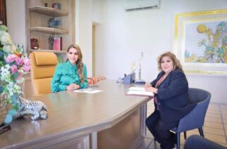 La gobernadora Evelyn Salgado Pineda sostuvo una reunión de trabajo en su despacho con la secretaria de Desarrollo Urbano