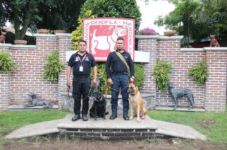 Reconocen trabajo de binomios caninos de la SGIRPCGRO en atención de emergencia en México