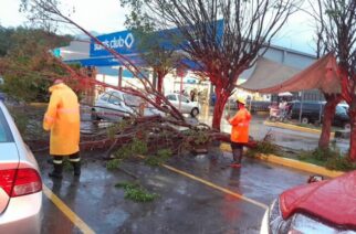 SGIRPCGRO atiende incidencias generadas por tormenta local en Chilpancingo