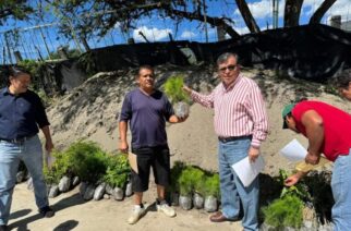 Secretario de Medio Ambiente y Recursos Naturales Encabeza Tercera entrega de 10 mil plantas